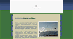Desktop Screenshot of lgsoluciones.mx